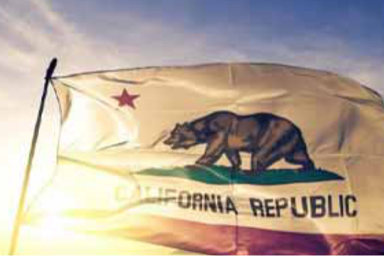 California republic flag