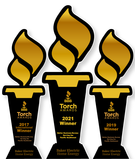 BBB Torch Award winner