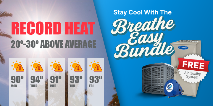 Breathe Easy Bundle