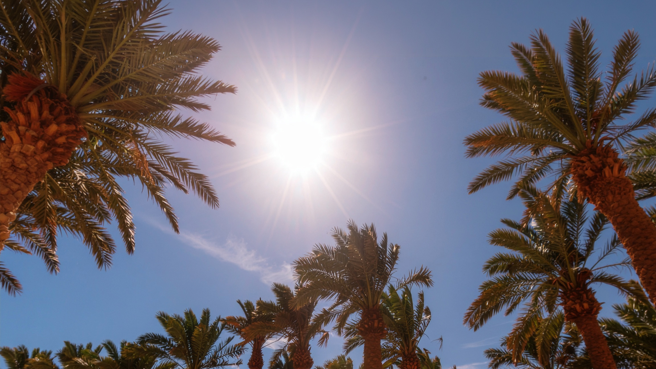 San Diego home during spring heatwave highlighting early summer temperatures and AC energy savings concerns